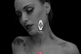 消尸:血迹会说话(Nobodies:SilentBlood) 