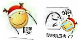 有意思旅游 