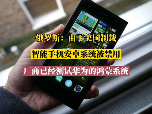 俄罗斯被停用安卓系统,俄罗斯应对系统停用挑战的本土化替代方案