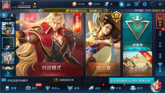 王者荣耀极光辅助 