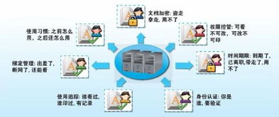 PalFish软件专业版 