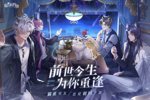 猫之宿约者官网版下载 