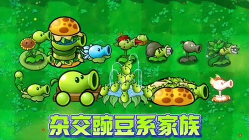 豌豆荚豌豆荚安卓版官方版下载 