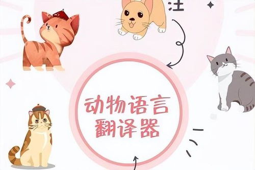 PetTranslator动物语言翻译器 