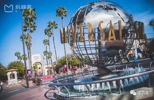 安卓系统下洛杉矶disneyland,畅游乐园的智能指南