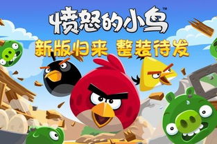 愤怒的小鸟中文版