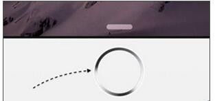 安卓系统占用空间过多,揭秘原因与解决方案