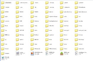 安卓系统小说放在哪看,揭秘小说阅读的神秘之地