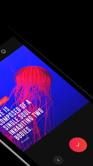 安卓系统不配开启VUE会员,探索免费使用体验