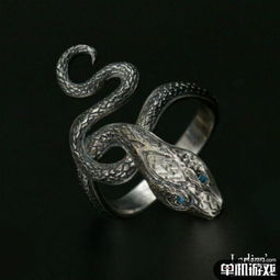 戒指融合手游安卓版下载安装 