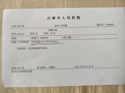 novelai图像生成器 